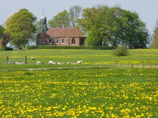 Fransum in landschap